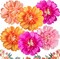 6-Pack 12" Crepe Paper Flowers – Spring & Summer Fiesta Wall and Party Decorations